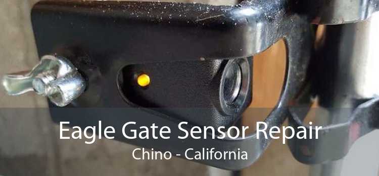 Eagle Gate Sensor Repair Chino - California