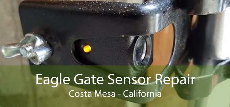 Eagle Gate Sensor Repair Costa Mesa - California