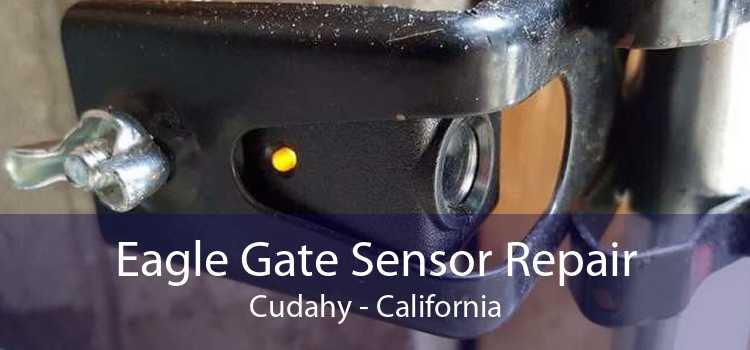 Eagle Gate Sensor Repair Cudahy - California