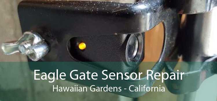 Eagle Gate Sensor Repair Hawaiian Gardens - California