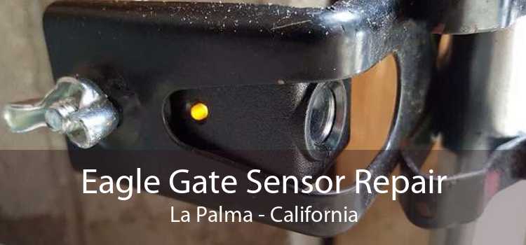 Eagle Gate Sensor Repair La Palma - California