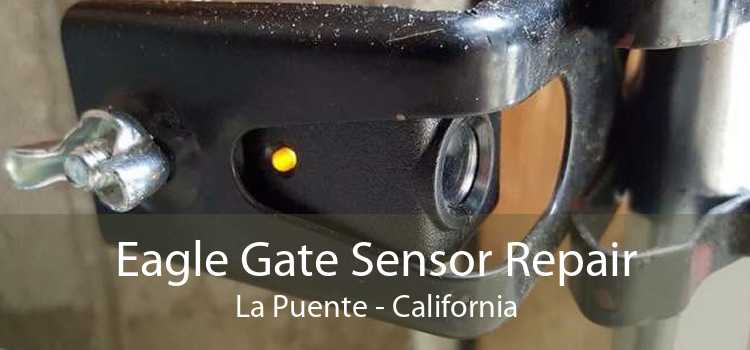 Eagle Gate Sensor Repair La Puente - California