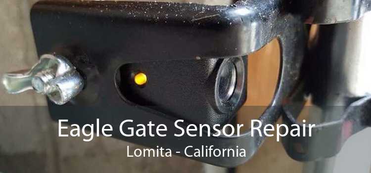 Eagle Gate Sensor Repair Lomita - California