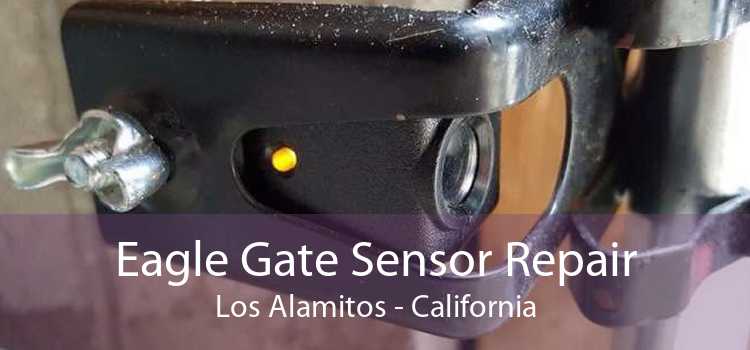 Eagle Gate Sensor Repair Los Alamitos - California