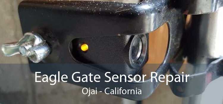 Eagle Gate Sensor Repair Ojai - California