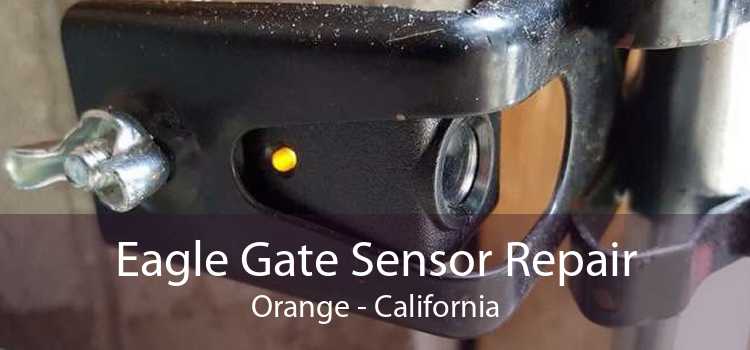 Eagle Gate Sensor Repair Orange - California