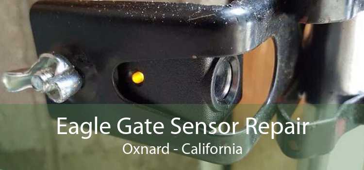 Eagle Gate Sensor Repair Oxnard - California