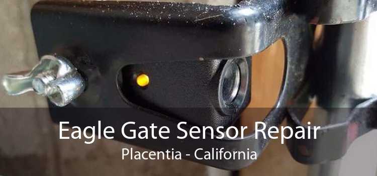 Eagle Gate Sensor Repair Placentia - California