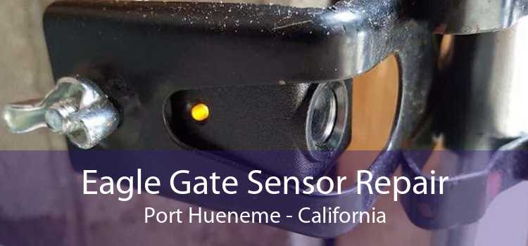 Eagle Gate Sensor Repair Port Hueneme - California