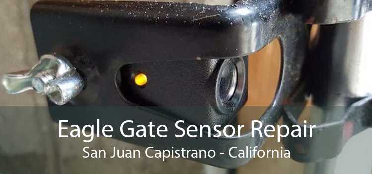 Eagle Gate Sensor Repair San Juan Capistrano - California