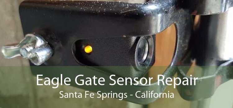 Eagle Gate Sensor Repair Santa Fe Springs - California