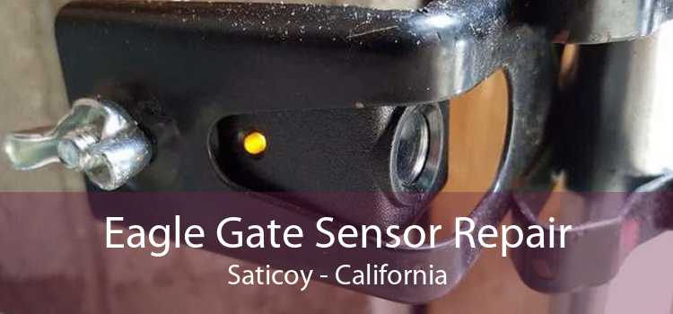 Eagle Gate Sensor Repair Saticoy - California