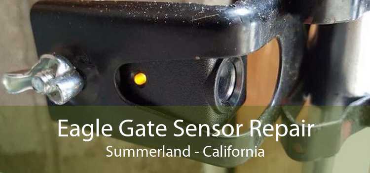 Eagle Gate Sensor Repair Summerland - California