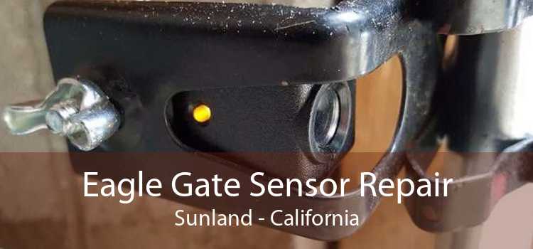 Eagle Gate Sensor Repair Sunland - California