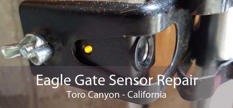 Eagle Gate Sensor Repair Toro Canyon - California