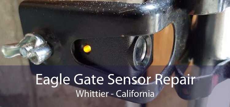 Eagle Gate Sensor Repair Whittier - California