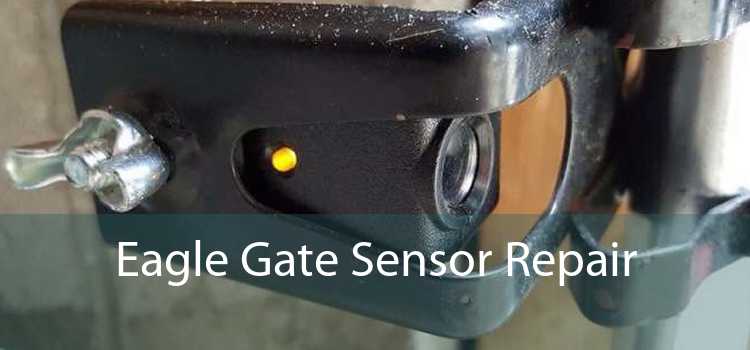 Eagle Gate Sensor Repair 