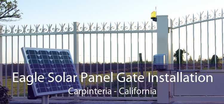 Eagle Solar Panel Gate Installation Carpinteria - California