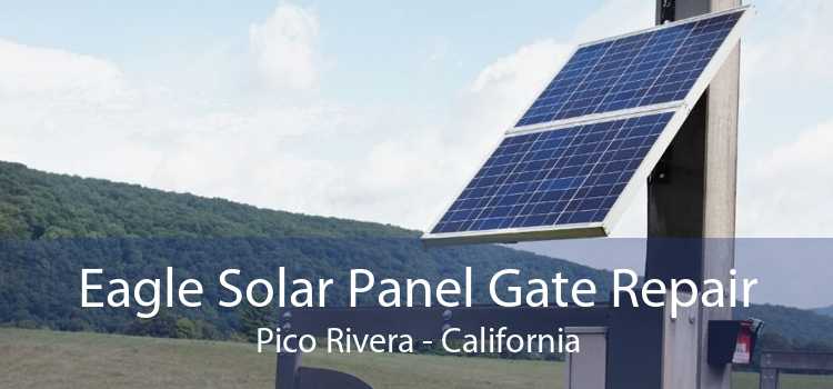 Eagle Solar Panel Gate Repair Pico Rivera - California