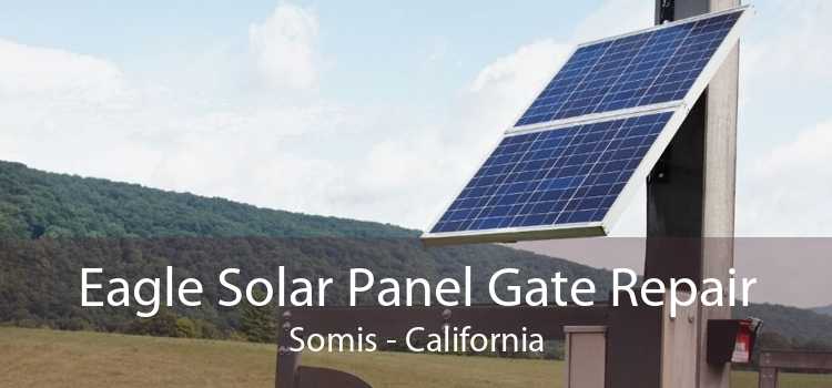 Eagle Solar Panel Gate Repair Somis - California